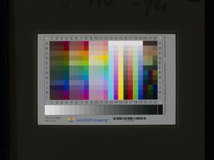 20160303-06967-oecf 01.jpg