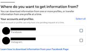 Meta download accounts.png