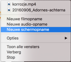 Websites archiveren screencast 1.png