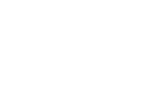 FARO logov neg white.svg