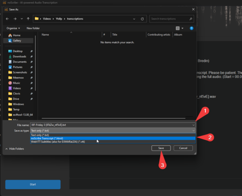 Capture d'écran des options pour l'enregistrement du fichier de transcription
